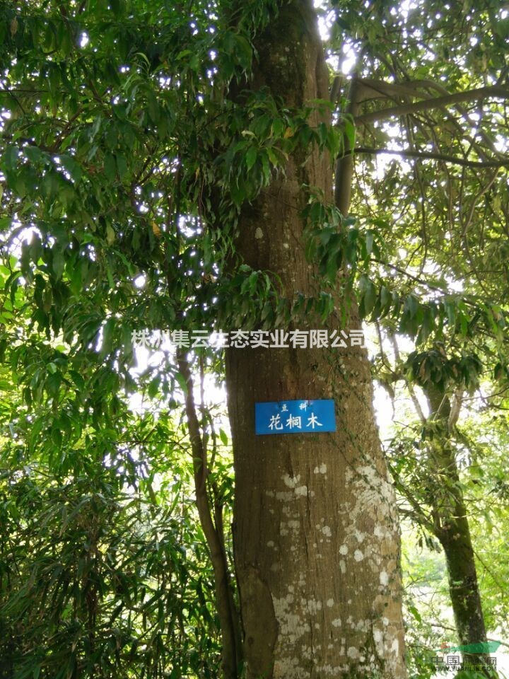 株洲集云生态实业有限公司