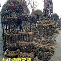 紫薇花瓶 紫薇造型