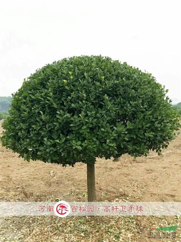 ߸ì