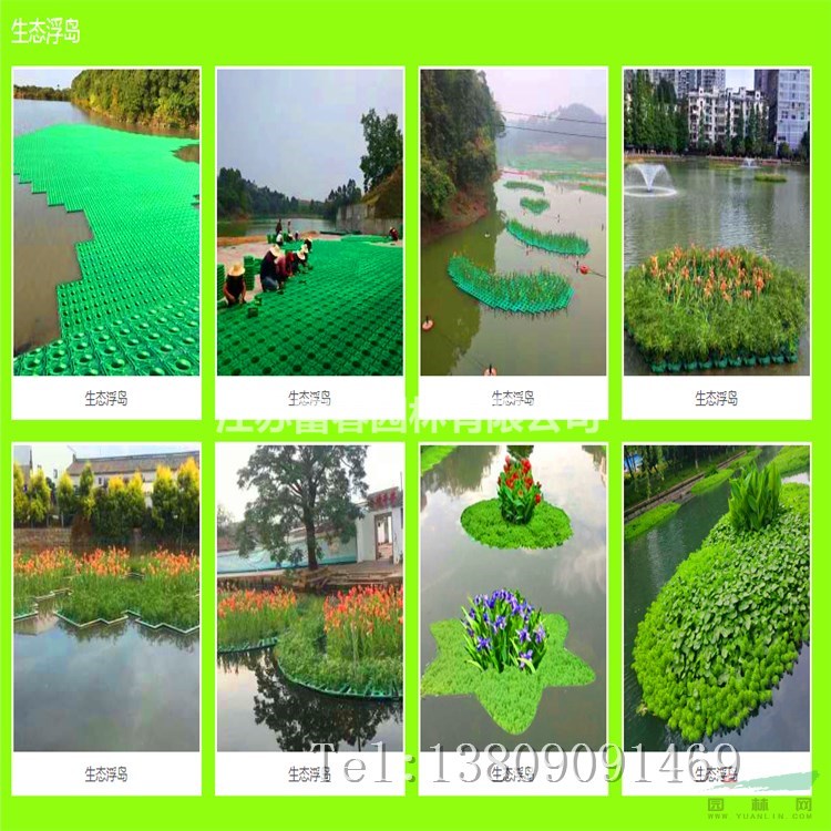 承接各种水生植物浮床河道绿化沉水植物生态浮岛景观绿化工程