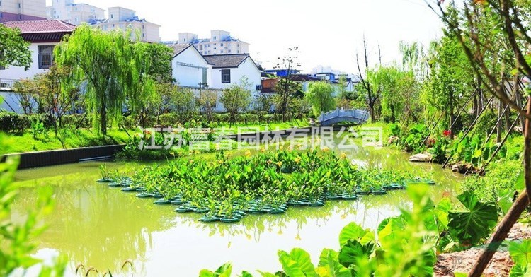 净水浮岛_生态浮岛批发_河道景观绿化