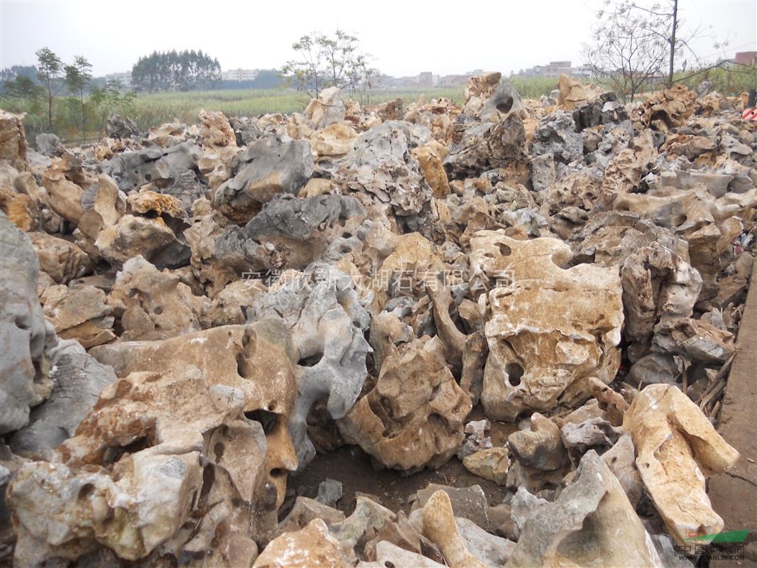 数量:数吨 规格:大中小 包装:吨 直销太湖石 园林景观石 园林石 假山石销售 物美价廉 欢迎订购 《欣新》是一家自主开采直销园林景观石的专业奇石场,主要经营(批发):大型太湖石、门牌石、黄石、刻字石、千层石、太湖石、青石、鹅卵石、雨花石、等都是石中名品、形态各异、质量上乘,并提供花园小区、阳台花园、屋顶花园、天台花园、空中花园、别墅私家花园庭院(中式庭院、日式庭院、西式庭院)、鱼池假山、塑石塑树、道路、工厂、企业单位等园林景观的专用石头,同时有专业的假山园艺施工队伍和独特的设计理念、并建立了一套完善的售