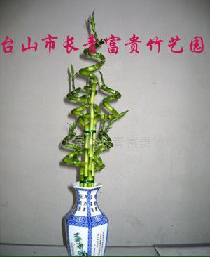 螺旋弯竹_螺旋弯竹v螺旋_台山市海宴镇长青富澳洲家具市场图片
