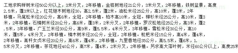 小提琴千年铁树曲谱