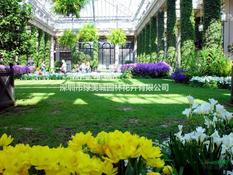 深圳绿化苗木花卉租摆园林工程项目服务