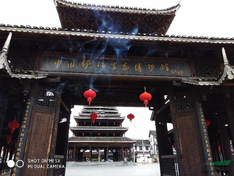 杨梅形态特征:杨梅圆圆的,和桂圆一样大小,遍身生着小刺,等杨梅渐渐长熟,刺也渐渐软了,平了,摘一个放进嘴里,舌尖触到杨梅那平滑的刺,使人感到细腻而且柔软。 杨梅先是淡红的,随后变成深红,最后几乎变成黑的了。它不是真的变黑,而是因为实在太红了,所以像黑的。当你轻轻咬开它,就可以看见那新鲜红嫩的果肉,同时,嘴唇上舌头上也都染满了鲜红的汁水。 常绿乔木,高可达15米以上,胸径达60余厘米;树皮灰色,老时纵向浅裂;树冠圆球形,五年以上果实可食用,十年左右果子便比较可口。小枝及芽无毛,皮孔通常少而不显著,幼嫩时仅被