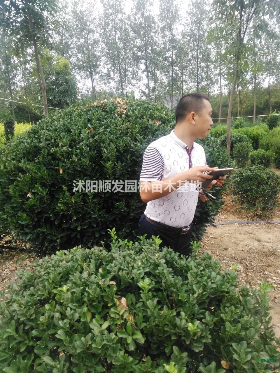 鱨-ͼƬչʾ-ֱ-ȫ