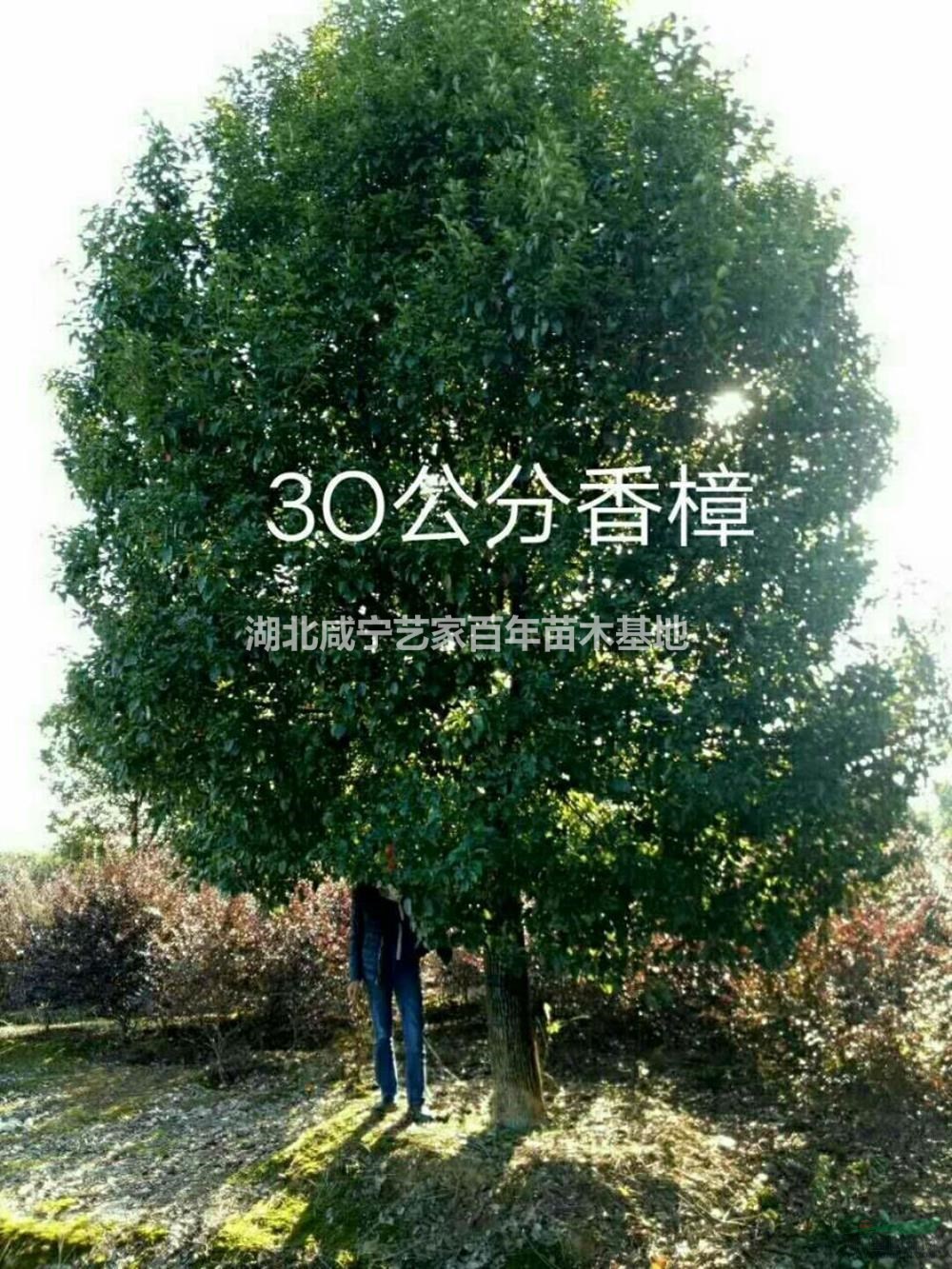 30//;