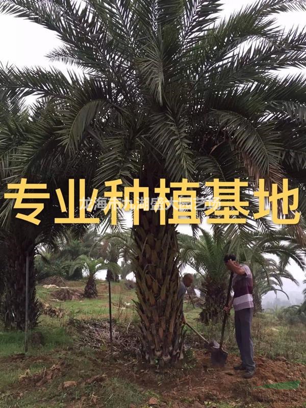 ж۸ 汨 *ж ж