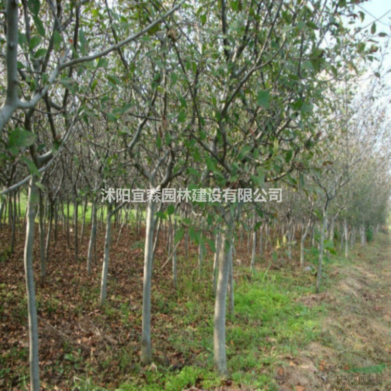 괹˿ Ǩ˿ļ۸ մ˿ı۱