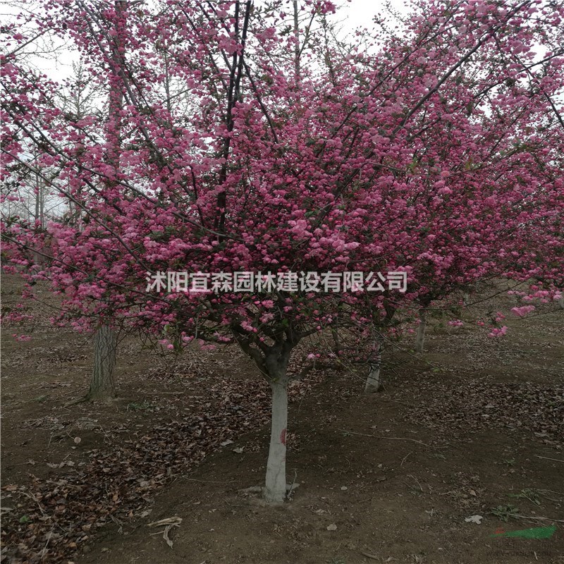 괹˿ Ǩ˿ļ۸ մ˿ı۱