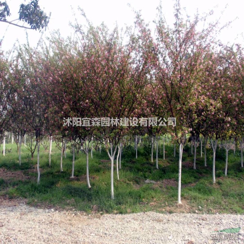 괹˿ Ǩ˿ļ۸ մ˿ı۱