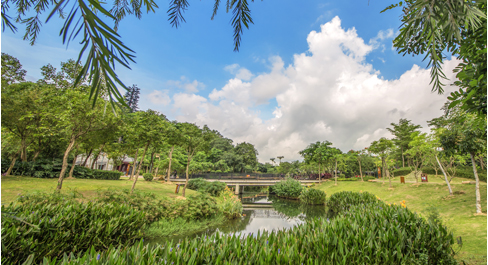 青年河小隱公園