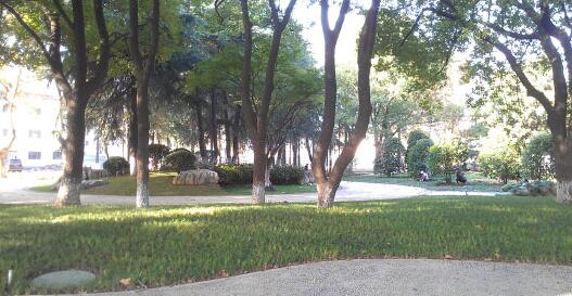 丹陽市人民公園