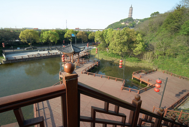 古海塘樹(shù)木移植及環(huán)境整治工