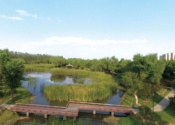 金斗濕地公園