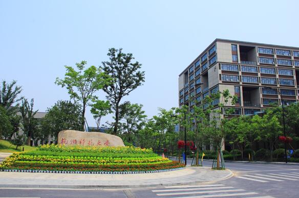 杭州师范大学仓前校区一期景观及市政配套工程