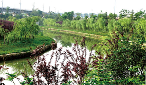 板橋河治理