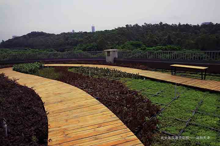 深圳北大醫(yī)院 