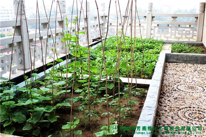 鄭州弘潤(rùn)華夏大酒店屋頂農(nóng)場(chǎng)項(xiàng)目