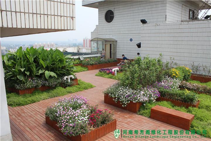 洛陽(yáng)正骨醫(yī)院屋頂花園項(xiàng)目