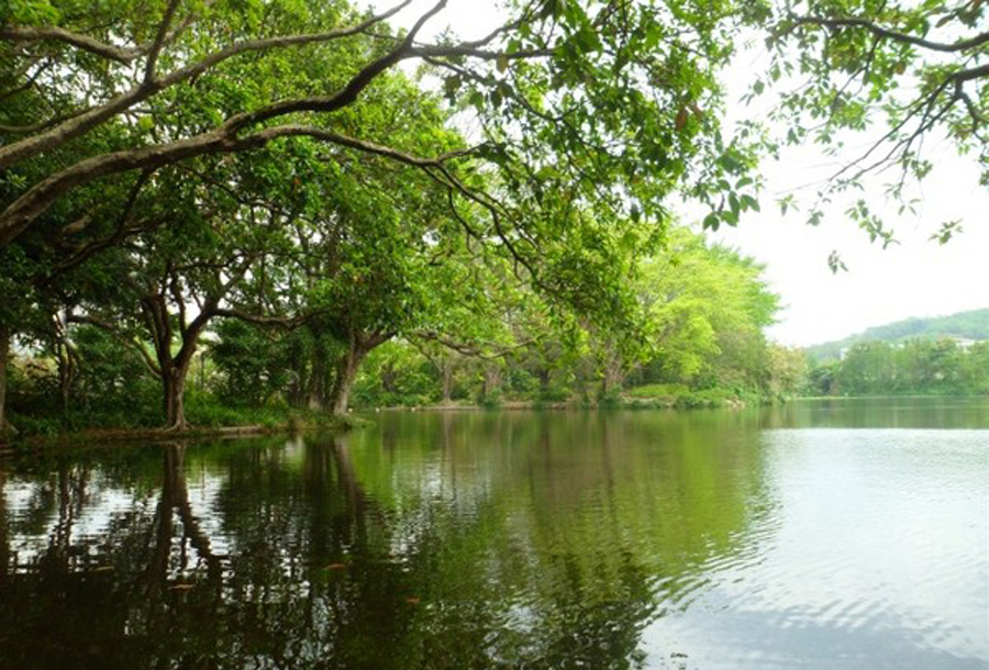 深圳東湖公園綠地管理養(yǎng)護(hù) 