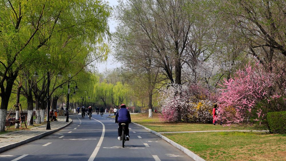 沈陽(yáng) 沈水灣公園