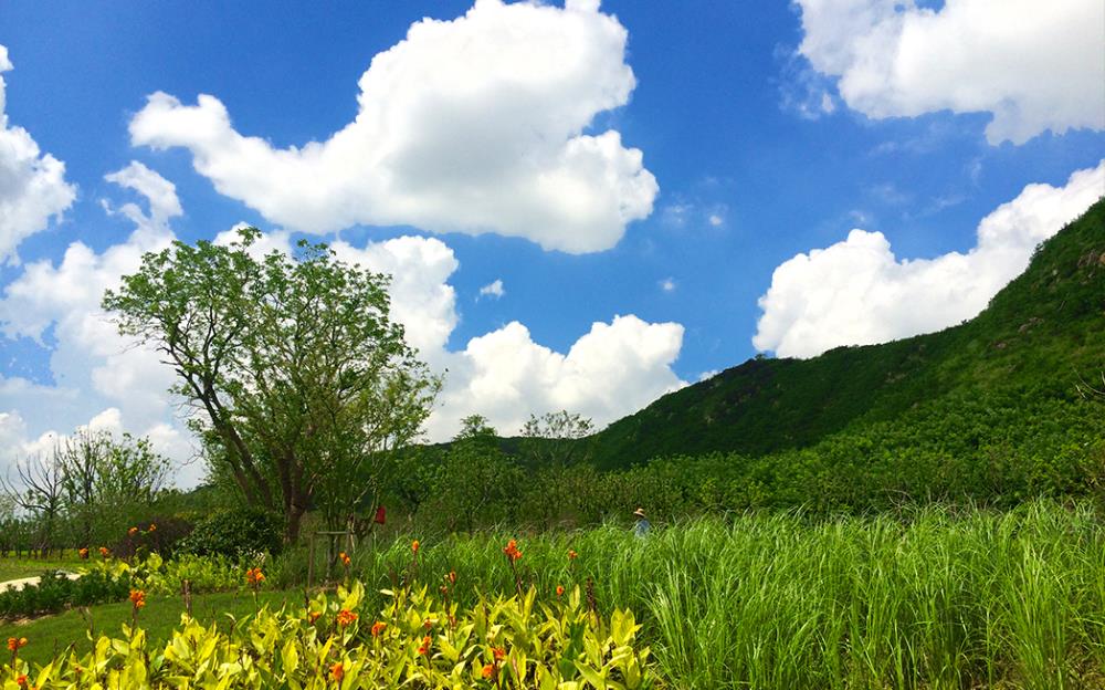 蘇州白馬澗環(huán)山路景觀設(shè)計(jì)