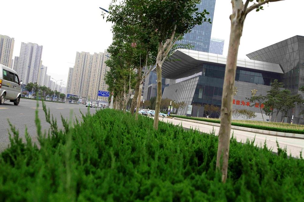 濟(jì)南西客站廣場(chǎng)綠化養(yǎng)護(hù)項(xiàng)目