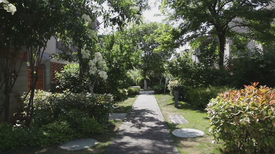 濟南市魯商御龍灣小區(qū)綠化項目