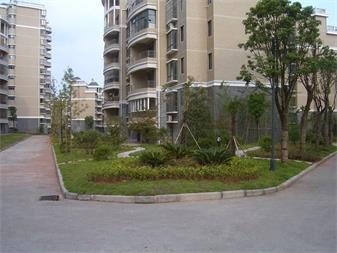 小區(qū)綠化