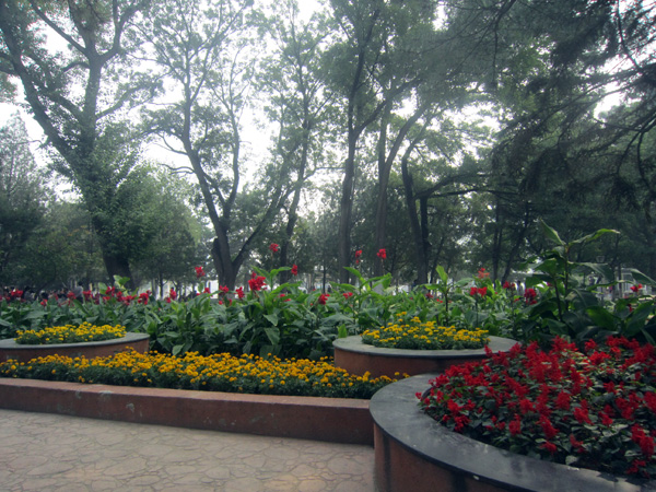 張家口市人民公園綠化