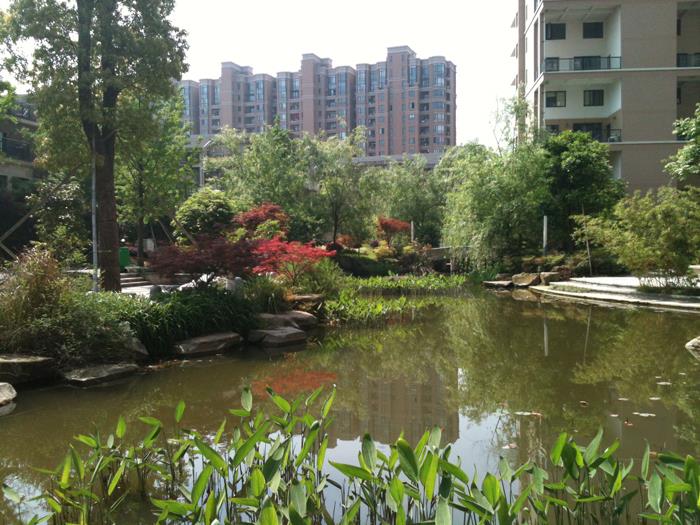 金水灣園林景觀工程