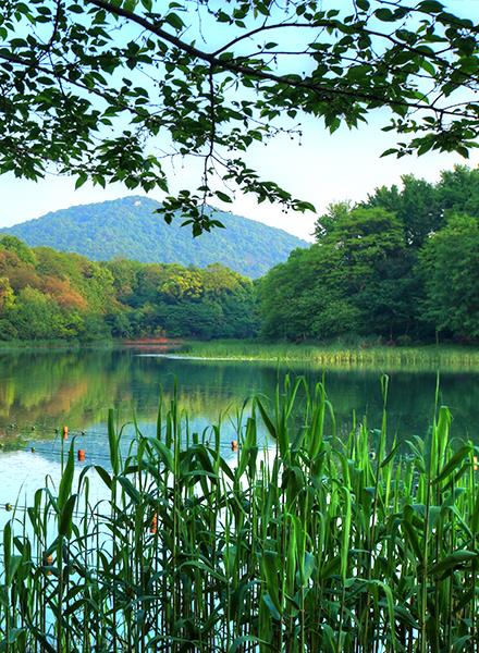 風(fēng)景區(qū)和旅游度假區(qū)