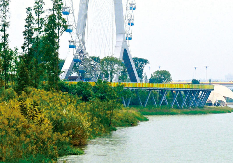 重慶寨山坪森林公園