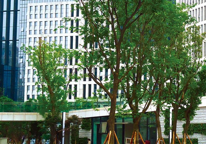 重慶天安數(shù)碼·綠谷產(chǎn)研樓環(huán)境景觀