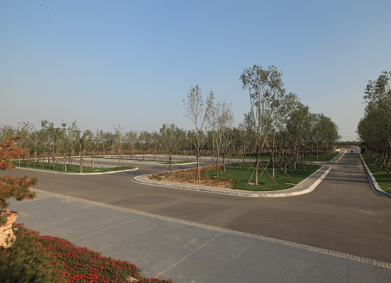 官港森林公園