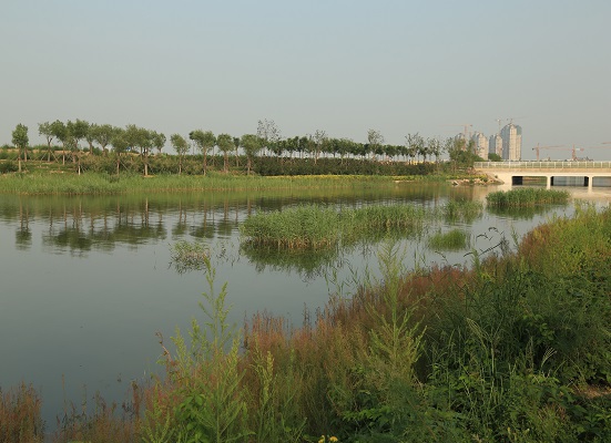 中新天津生態(tài)城清凈湖湖岸景觀工程 