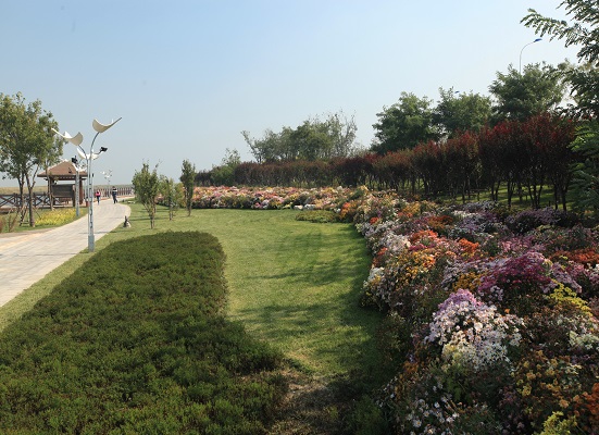 七里海國家濕地公園