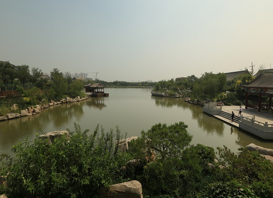 濱海一號景觀綠化工程