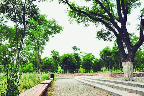 中關村森林公園