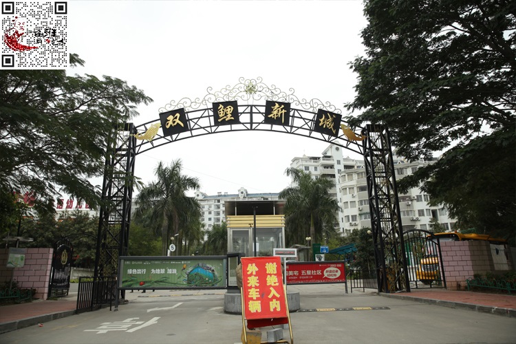 雙鯉新城-舊城改造提升
