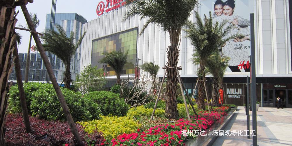 福州萬達(dá)廣場景觀綠化工程