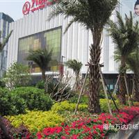 福州万达广场景观绿化工程