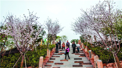 永福櫻花主題公園