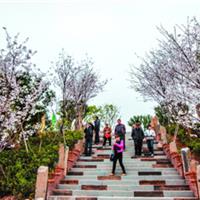 永福櫻花主題公園